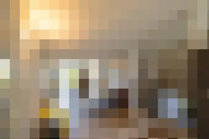 Skiramere 28 Harkstede thumbnail 18