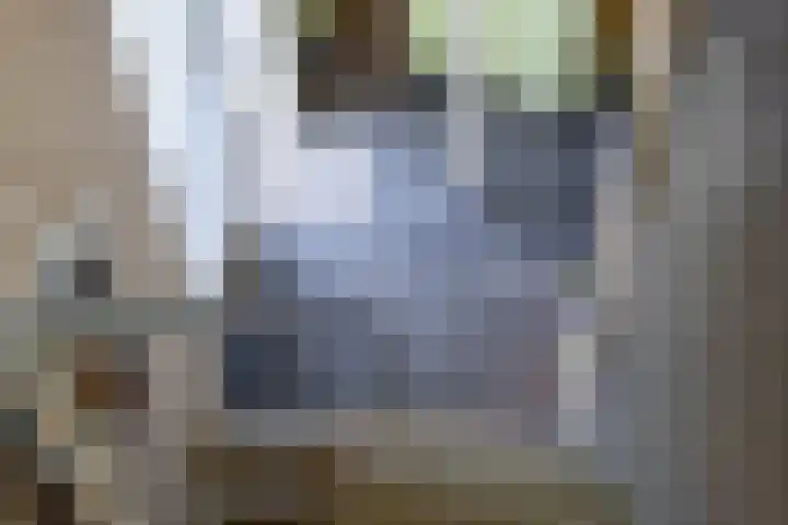 Skiramere 28 Harkstede thumbnail 26