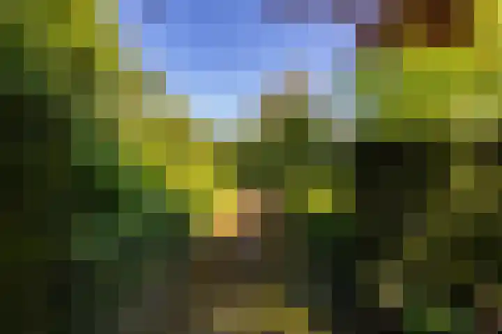 Skiramere 28 Harkstede thumbnail 45