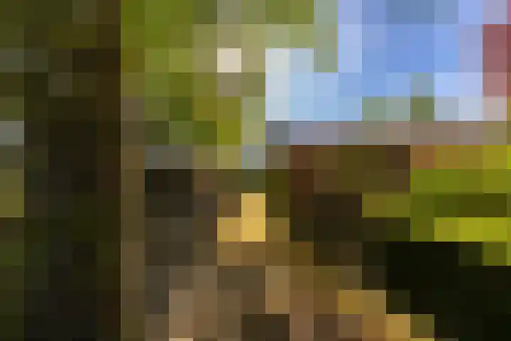 Skiramere 28 Harkstede thumbnail 46