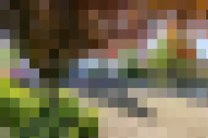 Skiramere 28 Harkstede thumbnail 48