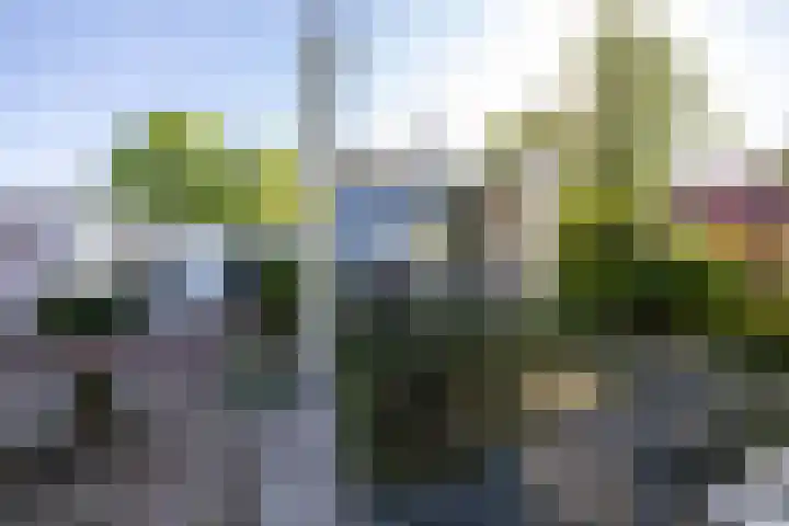 Skiramere 28 Harkstede thumbnail 49