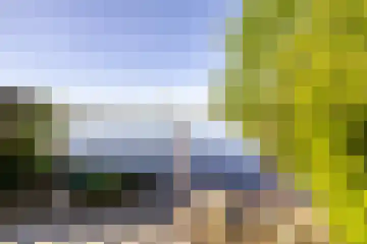 Skiramere 28 Harkstede thumbnail 53