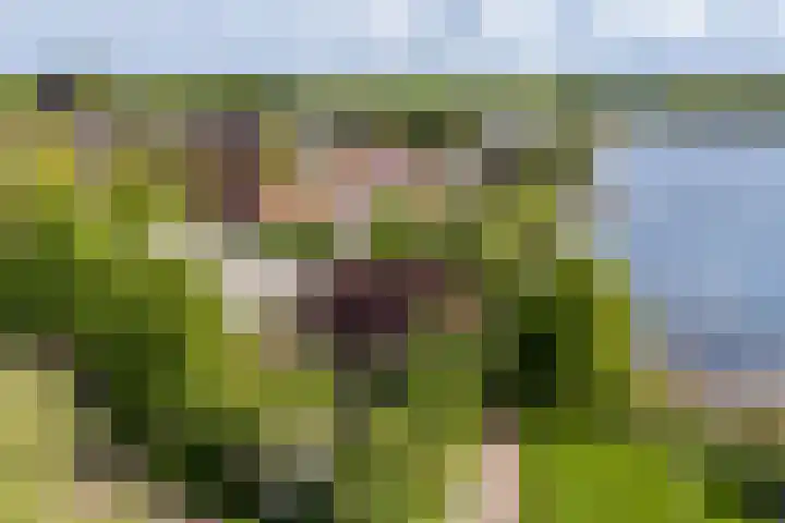 Skiramere 28 Harkstede thumbnail 56