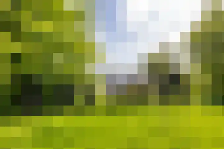 Skiramere 28 Harkstede thumbnail 57