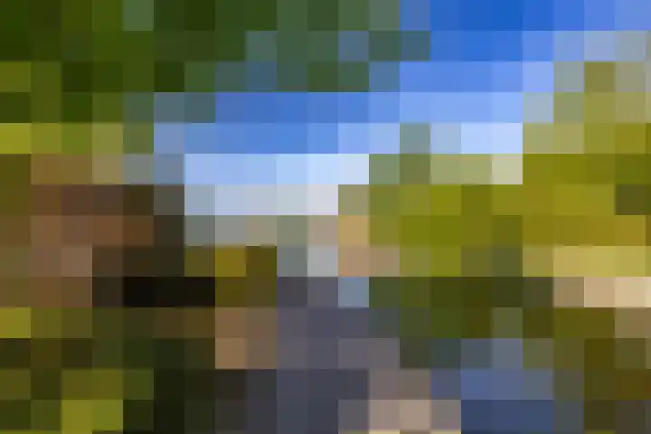 Skiramere 28 Harkstede thumbnail 7