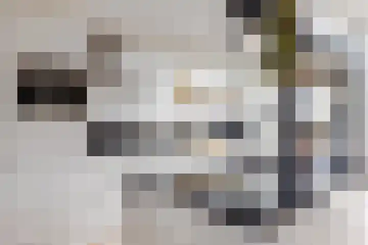 Skoalekers 37 Sintjohannesga thumbnail 15