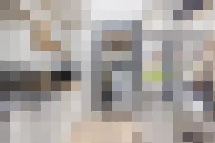 Skoalekers 37 Sintjohannesga thumbnail 17