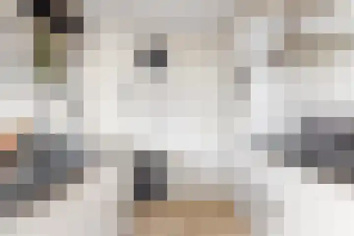 Skoalekers 37 Sintjohannesga thumbnail 18