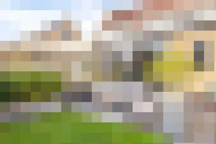 Skoalekers 37 Sintjohannesga thumbnail 21