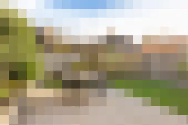 Skoalekers 37 Sintjohannesga thumbnail 22