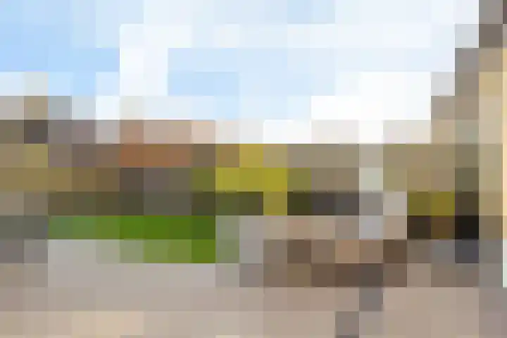Skoalekers 37 Sintjohannesga thumbnail 23