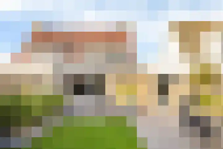 Skoalekers 37 Sintjohannesga thumbnail 24