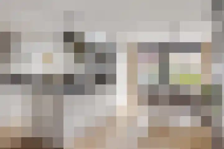 Skoalekers 37 Sintjohannesga foto 3