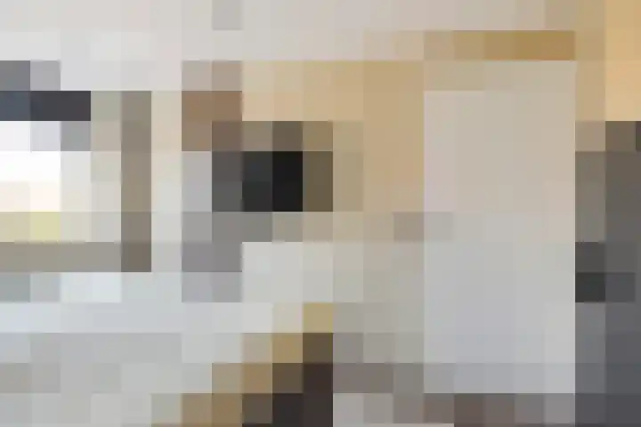 Skoalekers 37 Sintjohannesga thumbnail 32