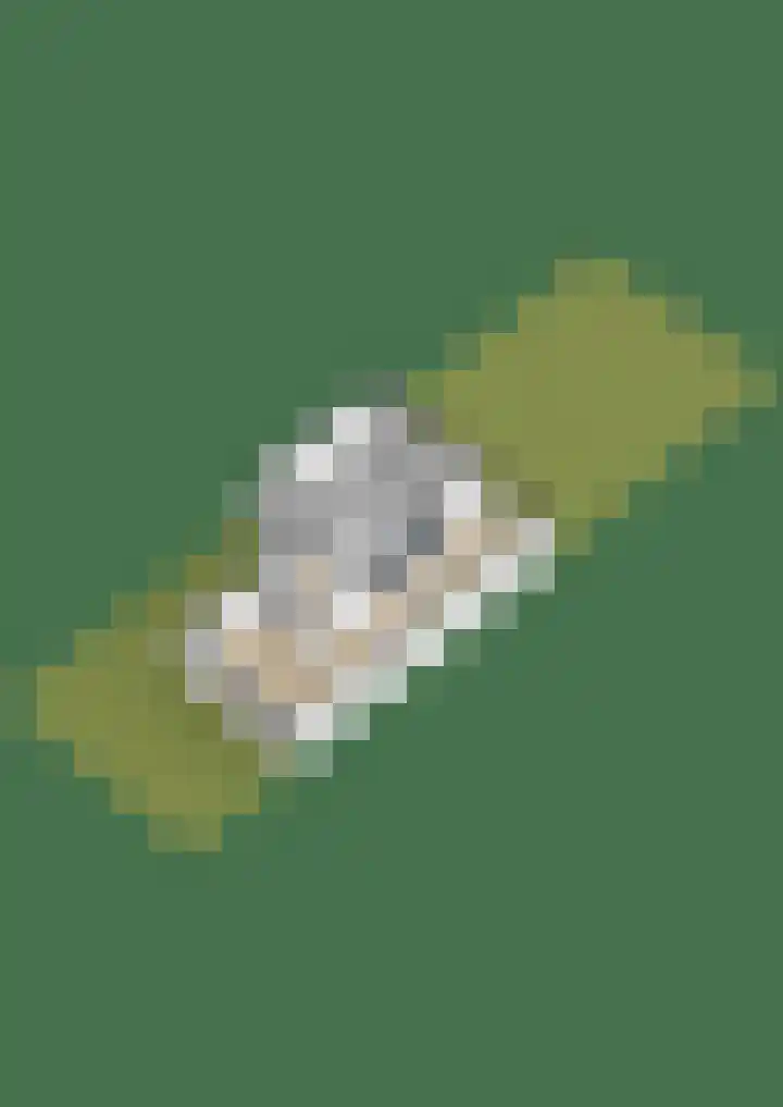 Skoalekers 37 Sintjohannesga thumbnail 43