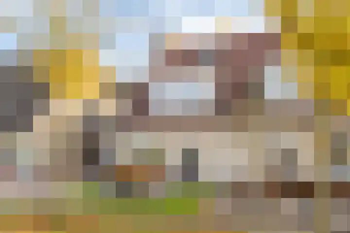 Skoalekers 37 Sintjohannesga thumbnail 5