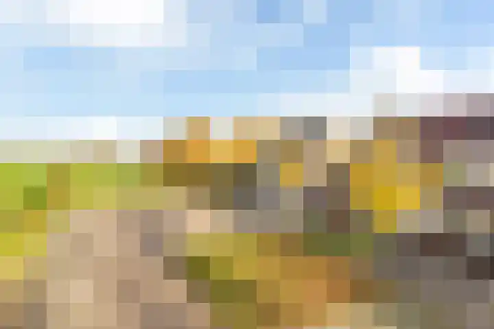 Skoalekers 37 Sintjohannesga thumbnail 6