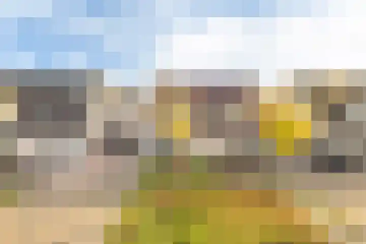 Skoalekers 37 Sintjohannesga thumbnail 7