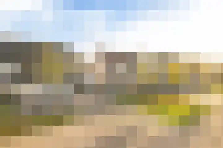 Skoalekers 37 Sintjohannesga thumbnail 8