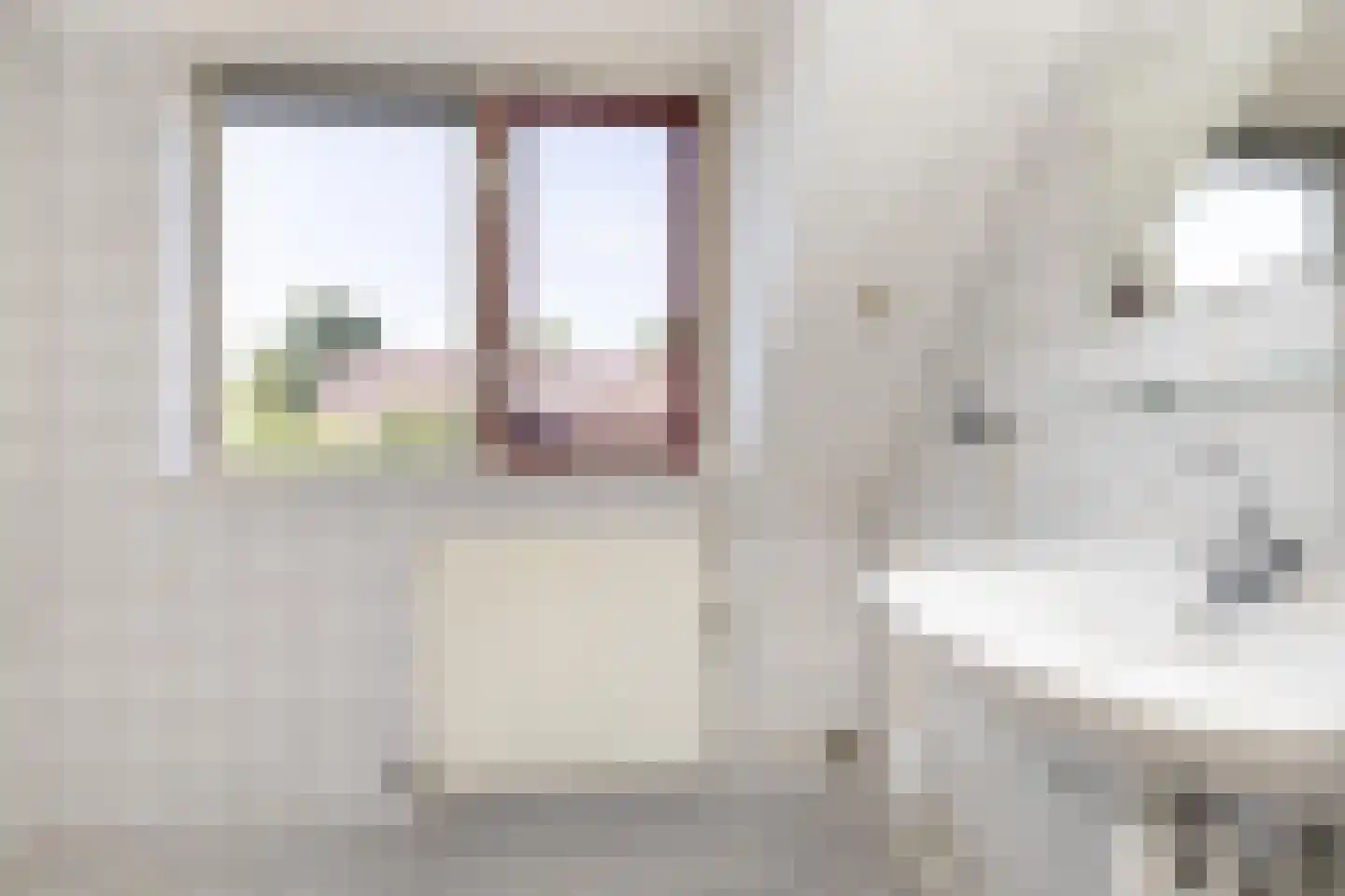 Skoalfinne 20 Boornbergum thumbnail 13