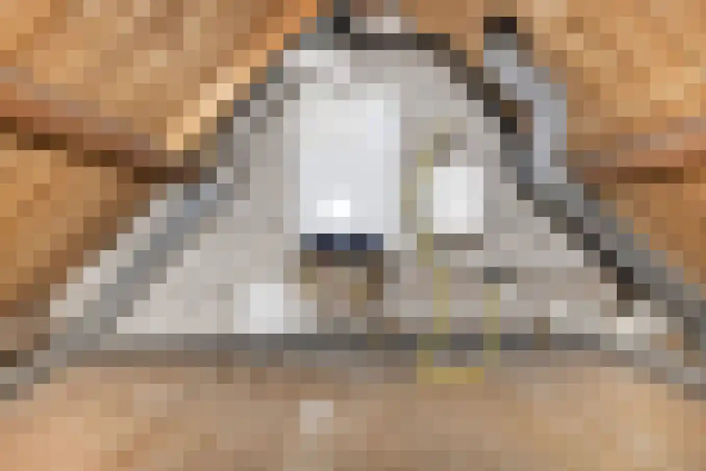 Skoalfinne 20 Boornbergum thumbnail 15