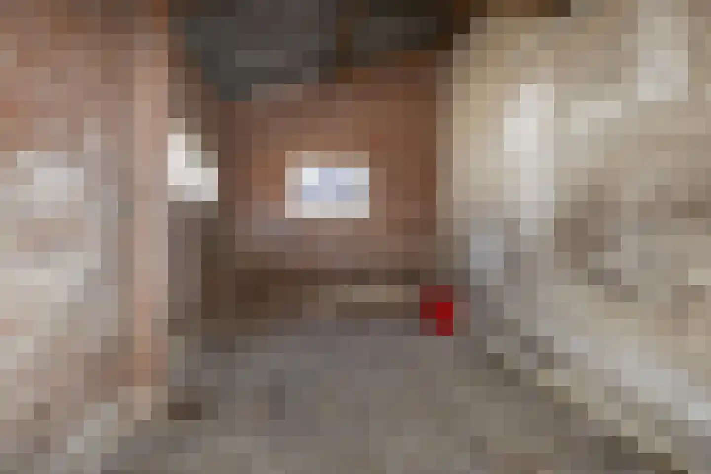 Skoalfinne 20 Boornbergum thumbnail 18