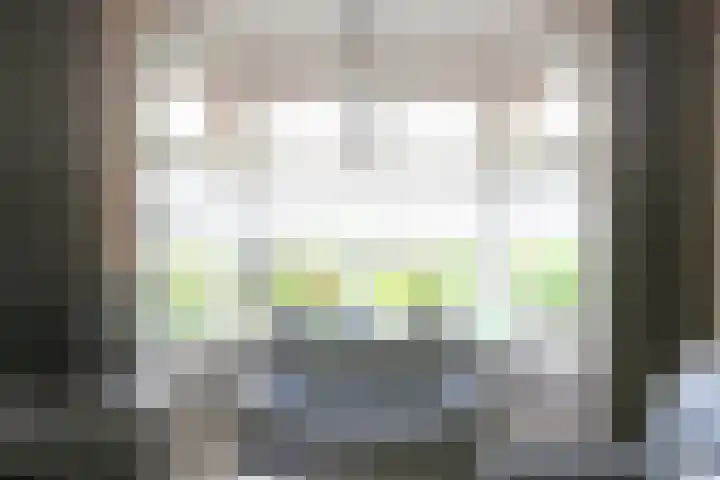 Skoalikkers 10 Augustinusga thumbnail 11