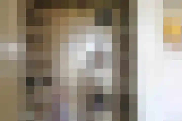 Skoalikkers 10 Augustinusga thumbnail 21