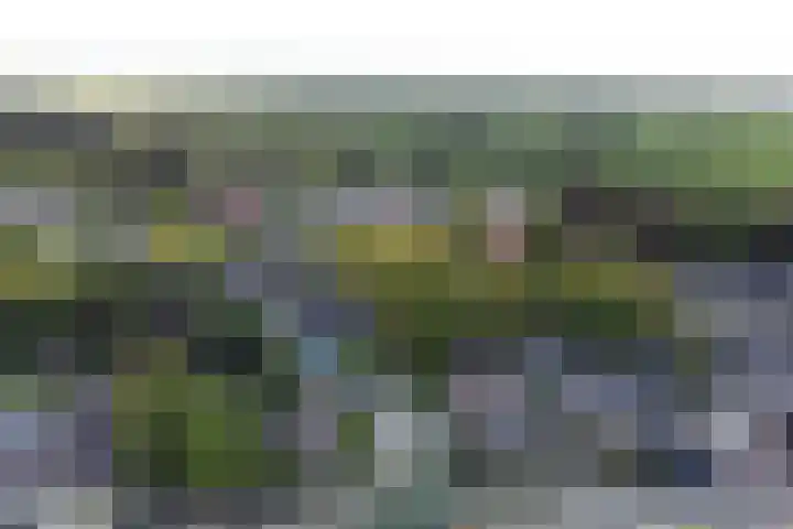 Skoalikkers 10 Augustinusga thumbnail 5