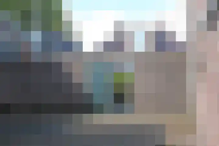 Skoalikkers 10 Augustinusga thumbnail 51