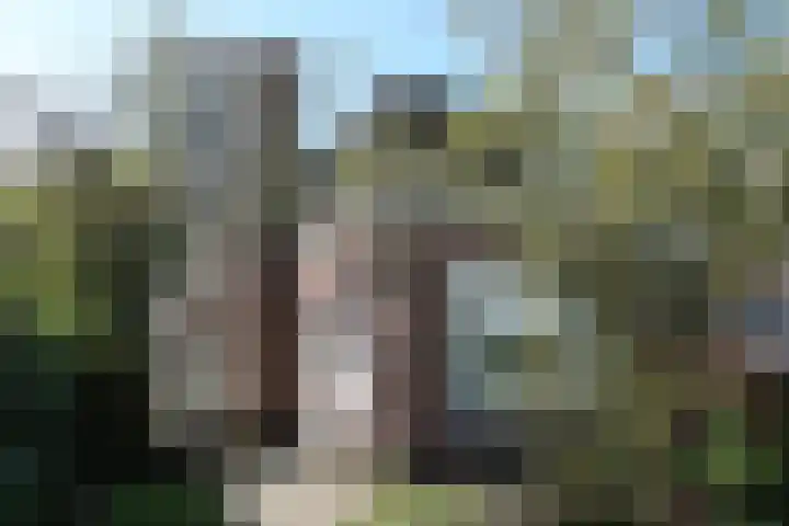 Skoalikkers 10 Augustinusga thumbnail 62