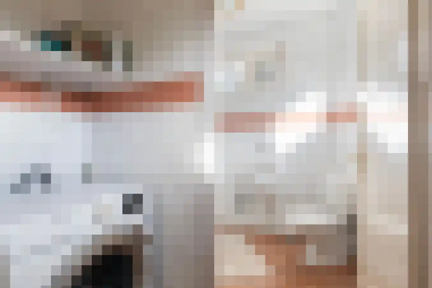 Skoalikkers 27 Augustinusga thumbnail 16