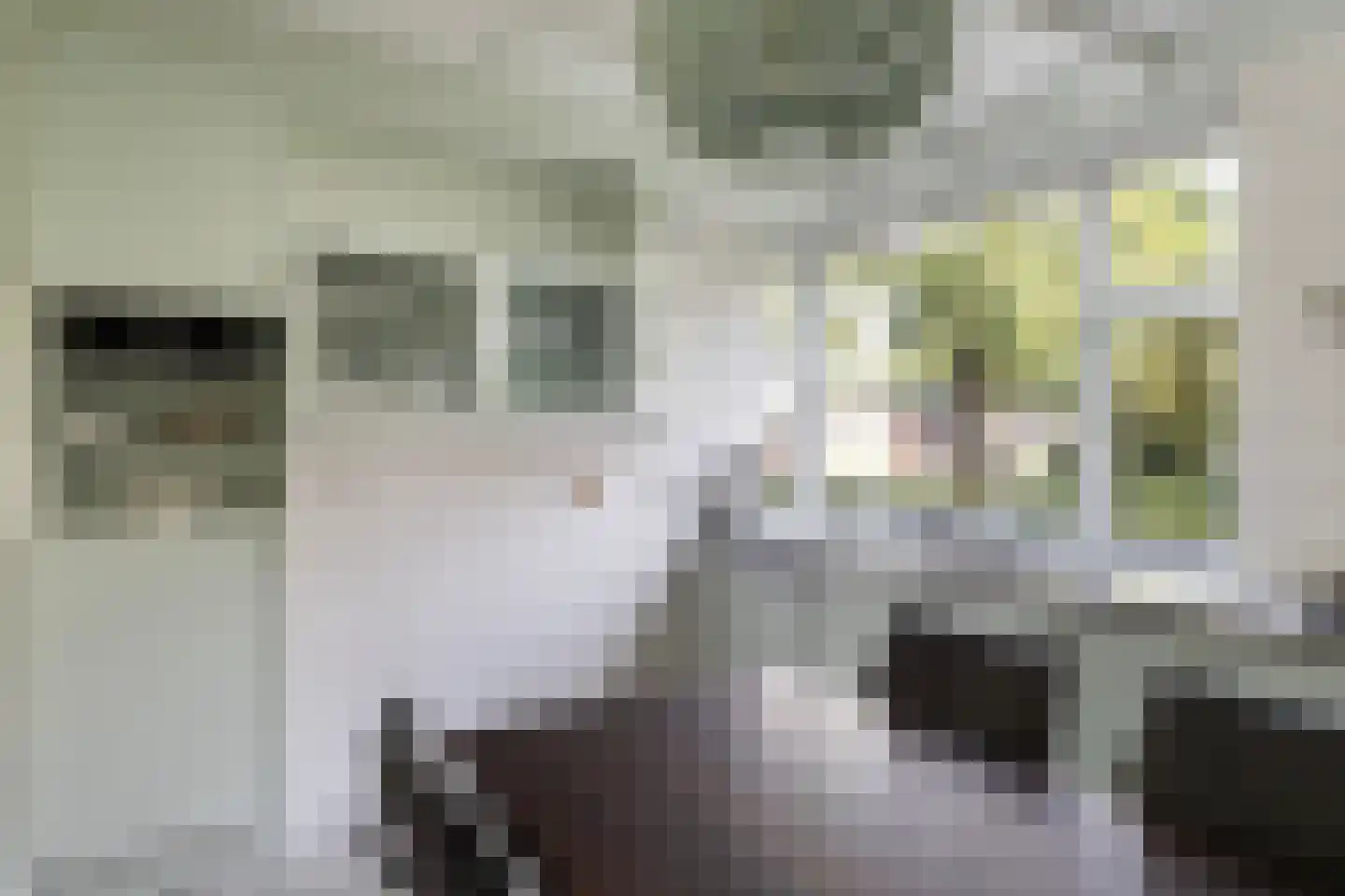 Skoalikkers 27 Augustinusga thumbnail 20