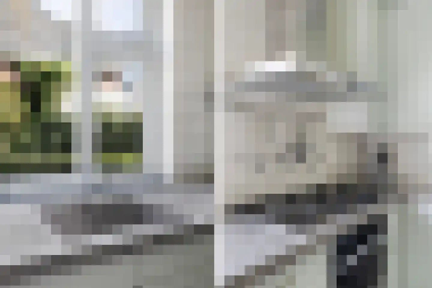 Skoalikkers 27 Augustinusga thumbnail 21