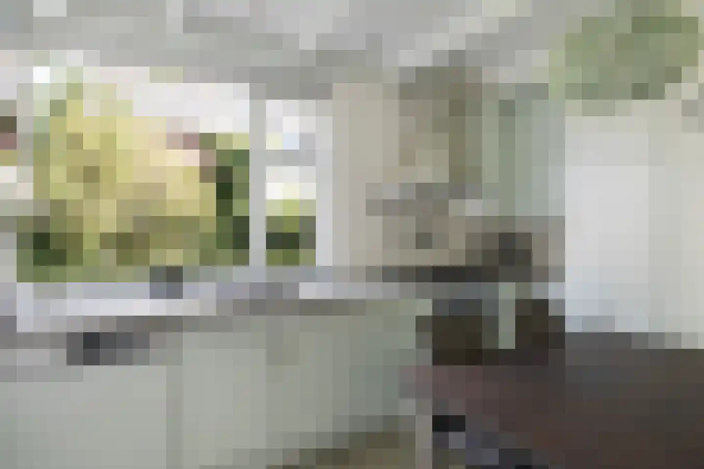Skoalikkers 27 Augustinusga thumbnail 22