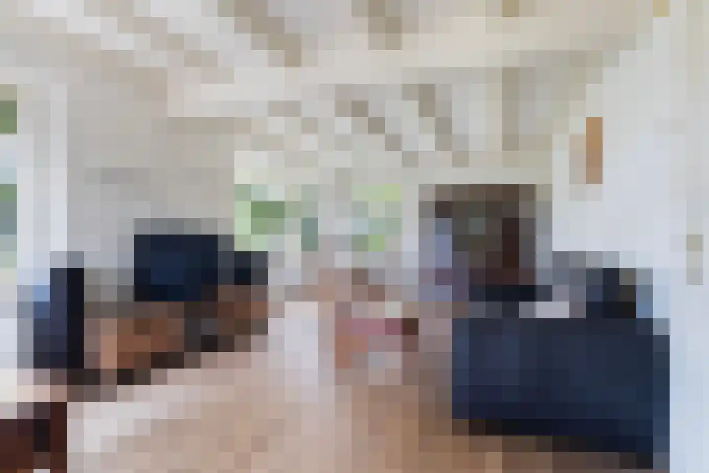 Skoalikkers 27 Augustinusga thumbnail 29
