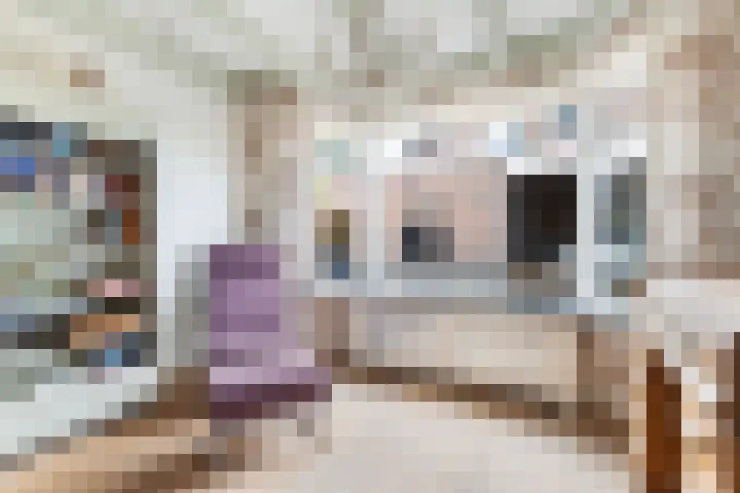Skoalikkers 27 Augustinusga thumbnail 30