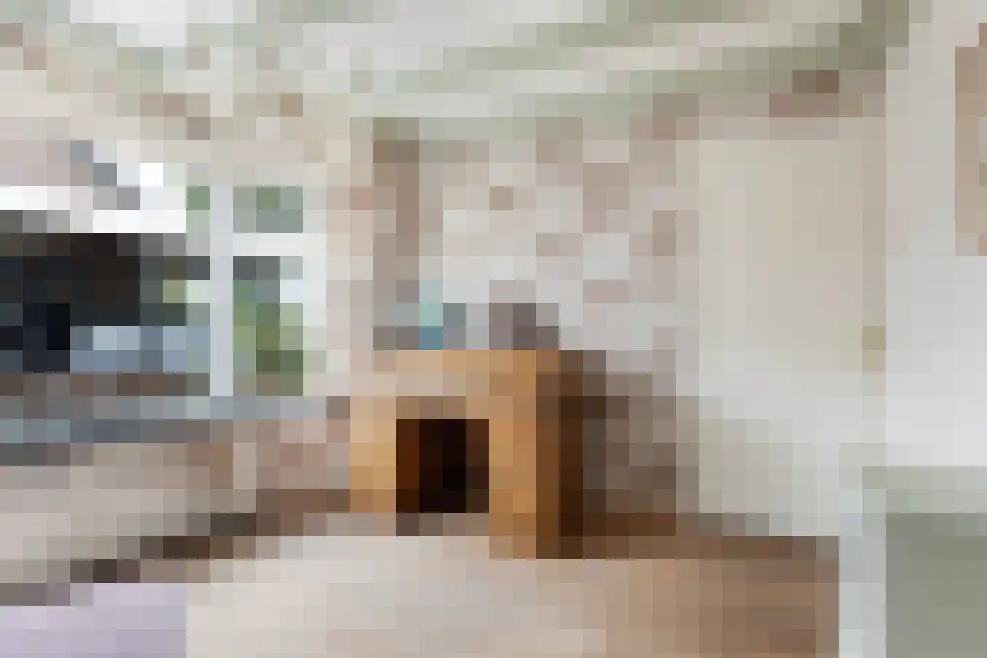 Skoalikkers 27 Augustinusga thumbnail 32
