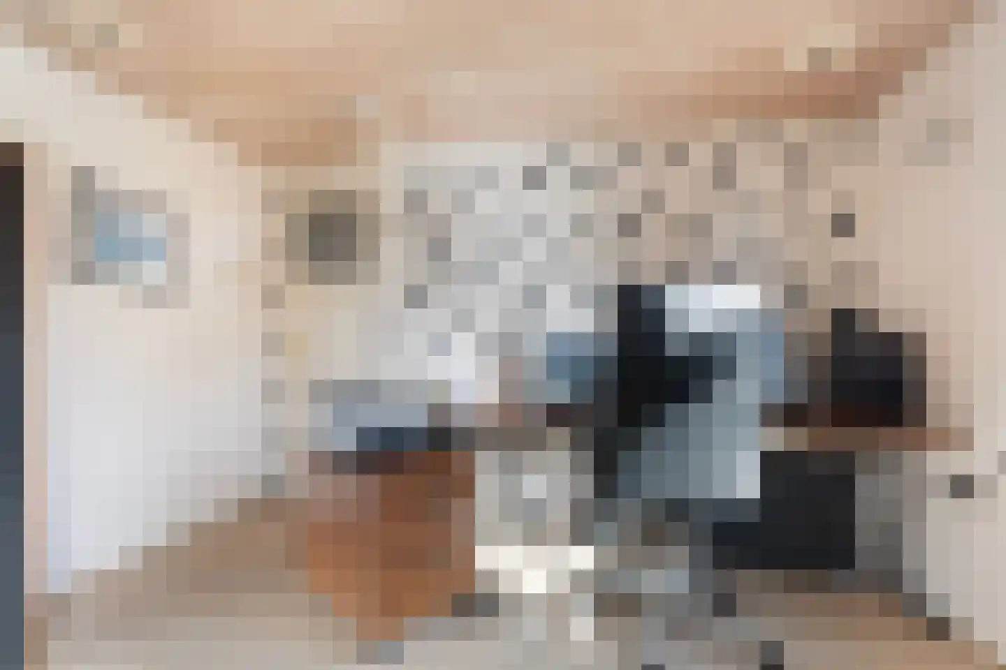 Skoalikkers 27 Augustinusga thumbnail 34