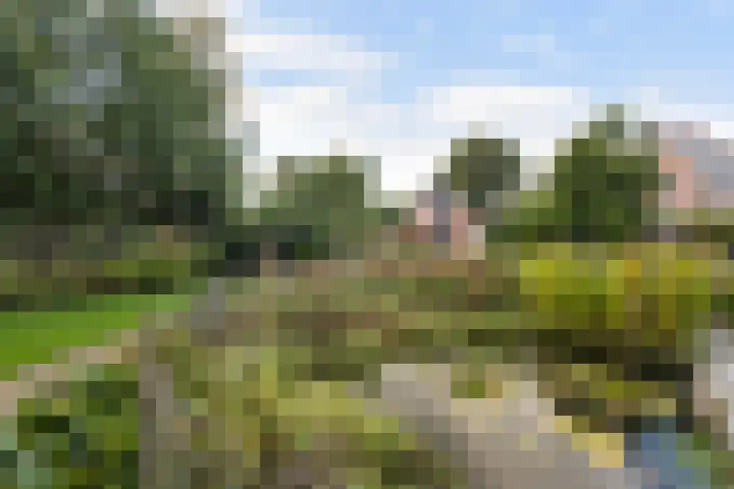 Skoalikkers 27 Augustinusga thumbnail 4