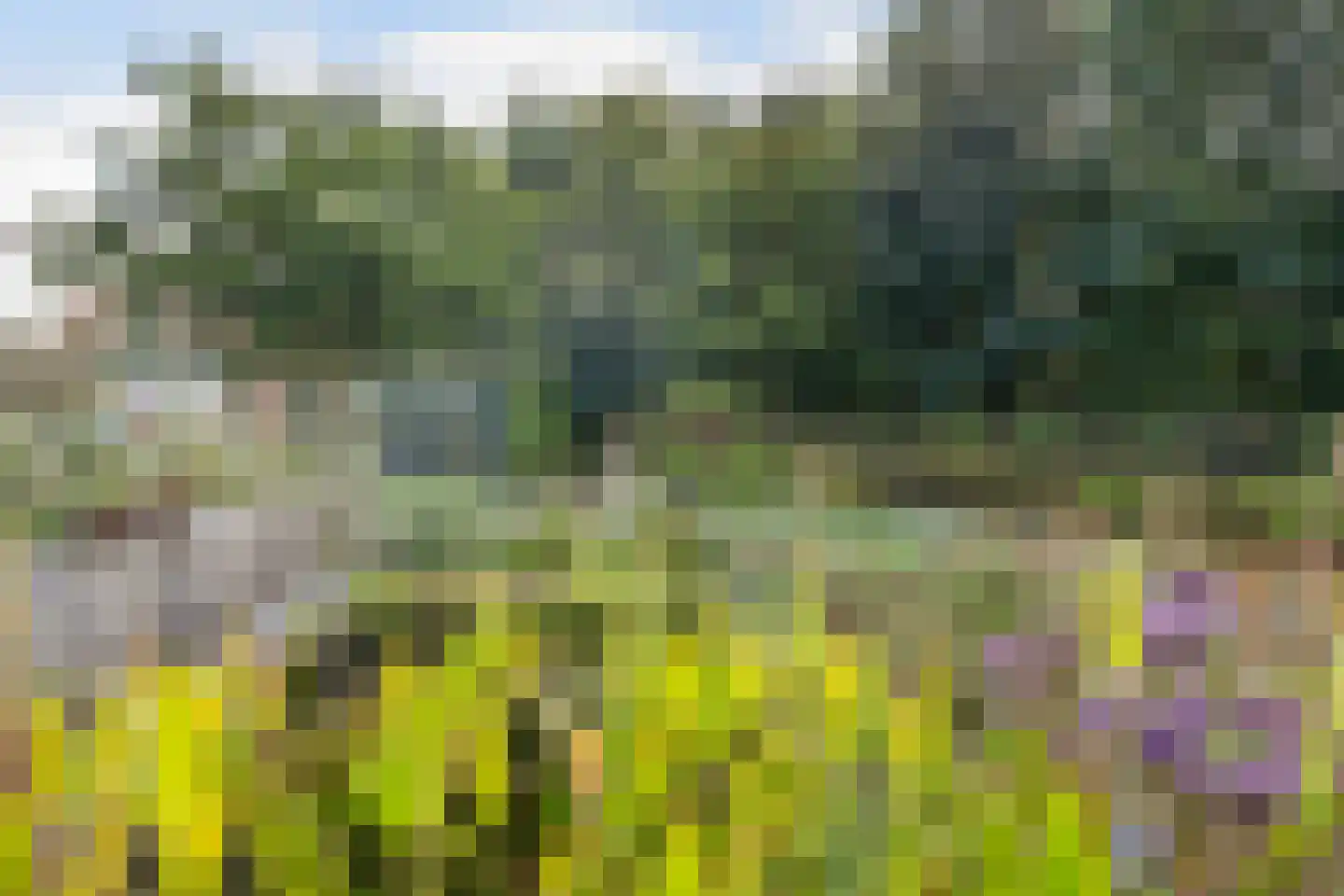Skoalikkers 27 Augustinusga thumbnail 55