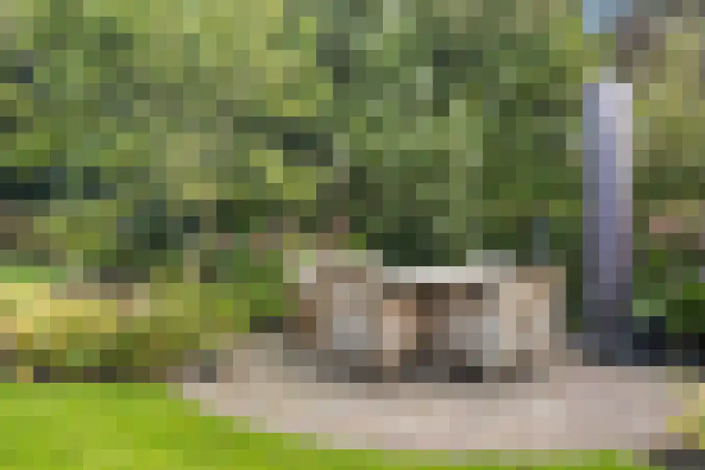 Skoalikkers 27 Augustinusga thumbnail 56