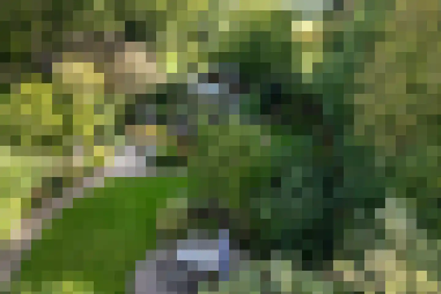 Skoalikkers 27 Augustinusga thumbnail 58