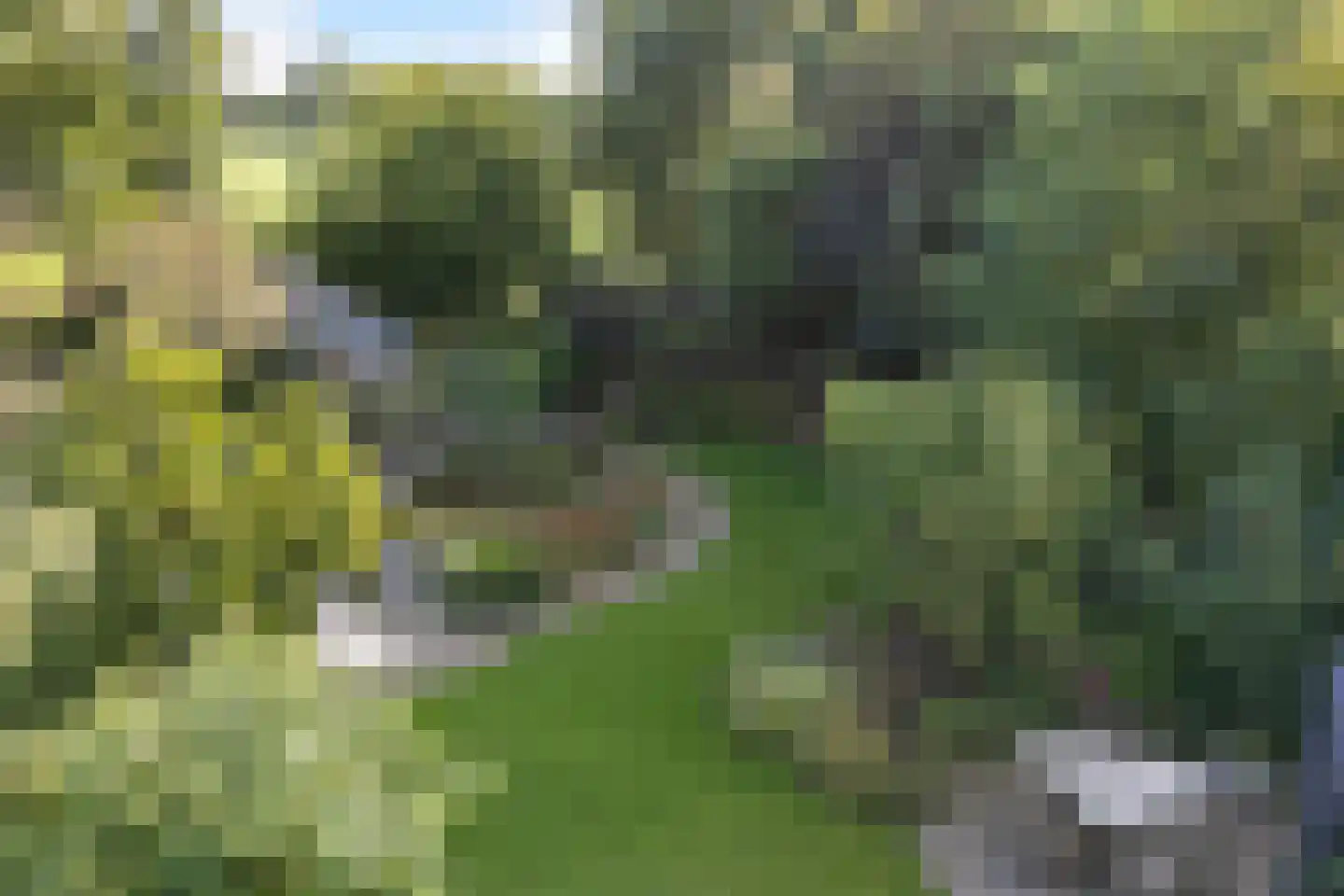 Skoalikkers 27 Augustinusga thumbnail 59