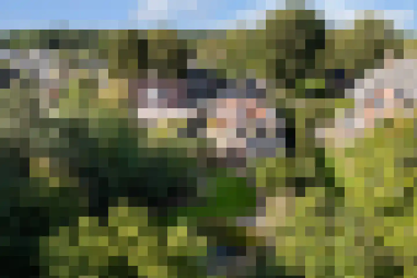Skoalikkers 27 Augustinusga thumbnail 61