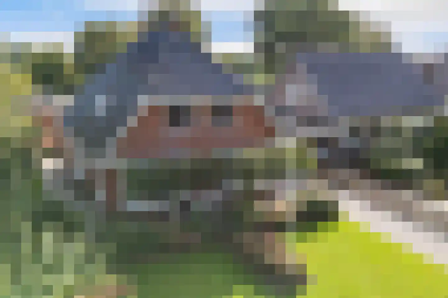 Skoalikkers 27 Augustinusga thumbnail 65