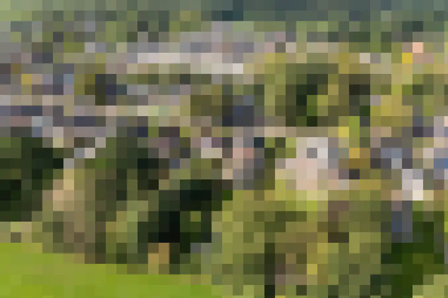 Skoalikkers 27 Augustinusga thumbnail 66
