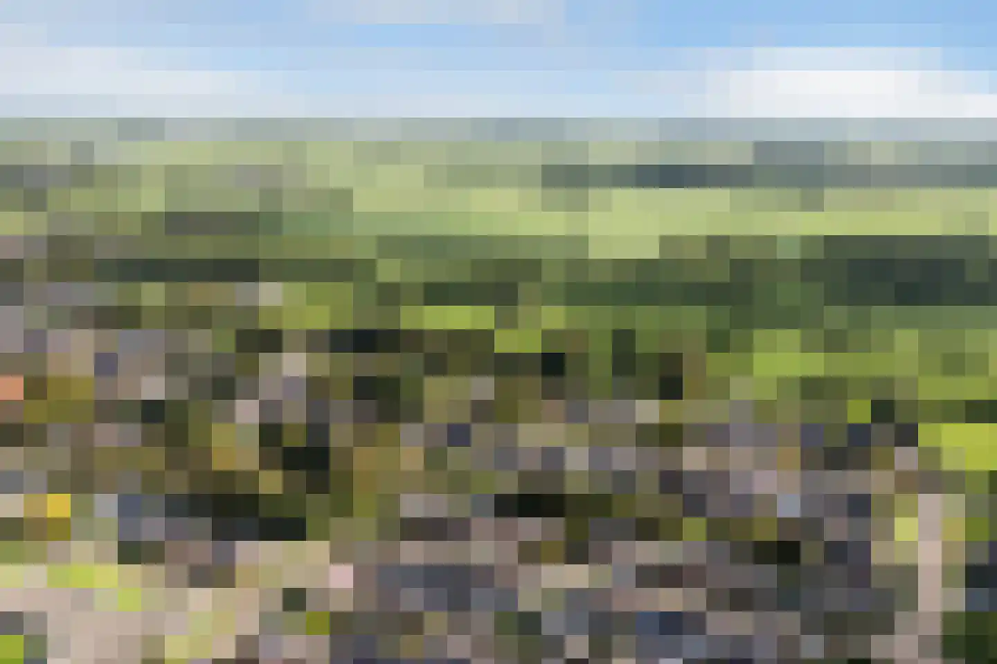 Skoalikkers 27 Augustinusga thumbnail 71