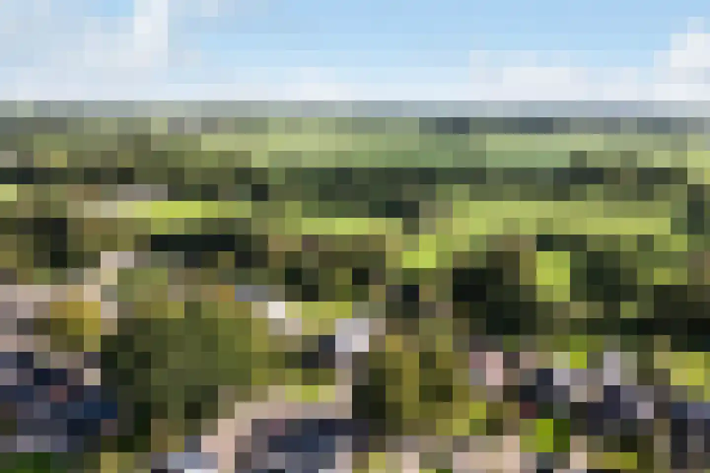 Skoalikkers 27 Augustinusga thumbnail 72